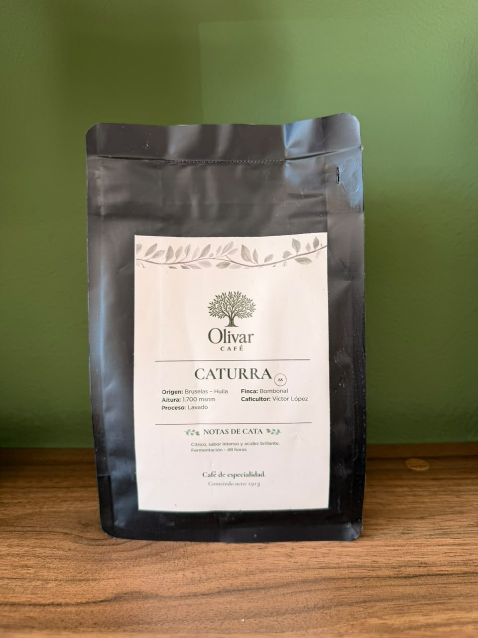 Caturra